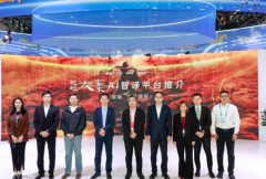 成尺度化手艺取摆设方案